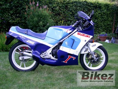 1988 Suzuki RG 250 Gamma photo